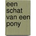 Een schat van een pony