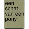 Een schat van een pony door Gertrud Jetten