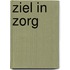 Ziel in zorg