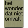 Het wonder dat niet omvalt by Ernest van der Kwast