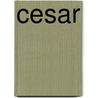 Cesar door Matthijs Kleyn