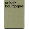Ontdek Bourgogne! door Ronny Denaere