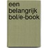Een belangrijk bol/e-book