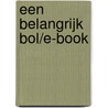 Een belangrijk bol/e-book door Klaas Klaassen