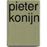 Pieter Konijn