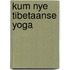 Kum Nye Tibetaanse yoga
