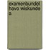 Examenbundel havo Wiskunde A