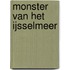 Monster van het IJsselmeer