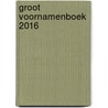 Groot voornamenboek 2016 by Femke van Werkhoven