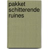 Pakket Schitterende ruines door Jess Walter