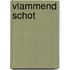 Vlammend schot