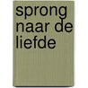Sprong naar de liefde door Anita Verkerk