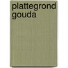 Plattegrond Gouda by Unknown