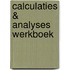 Calculaties & analyses Werkboek