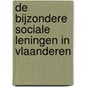 De bijzondere sociale leningen in Vlaanderen door Sien Winters