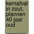 Kernafval in zout, plannen 40 jaar oud
