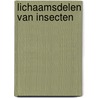 Lichaamsdelen van insecten by Clare Lewis