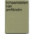 Lichaamdelen van amfibieën