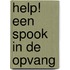 Help! Een spook in de opvang