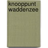 Knooppunt Waddenzee door Theunis Piersma
