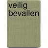 Veilig bevallen by Beatrijs Smulders