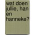 Wat doen jullie, Han en Hanneke?