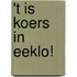 't Is Koers in Eeklo!