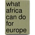 What Africa can do for Europe