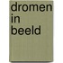 Dromen in beeld