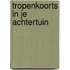 Tropenkoorts in je achtertuin