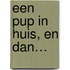 Een pup in huis, en dan…
