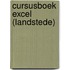 Cursusboek Excel (Landstede)