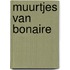 Muurtjes van Bonaire