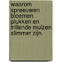 Waarom spreeuwen bloemen plukken en trillende muizen slimmer zijn.