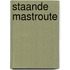 Staande mastroute