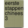 Eerste Stappen Chinees 3 by Yamin Ma
