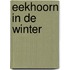 Eekhoorn in de winter