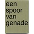 Een spoor van genade