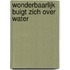 Wonderbaarlijk buigt zich over water