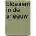 Bloesem in de sneeuw