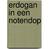 Erdogan in een notendop