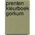 Prenten kleurboek Gorkum