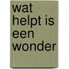Wat helpt is een wonder door Anne Vegter