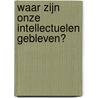 Waar zijn onze intellectuelen gebleven? door Kees Willemen