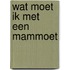Wat moet ik met een mammoet