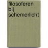 Filosoferen bij schemerlicht door Dennis vanden Auweele