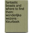 Fantastic Beasts and Where to Find Them: Wonderlijke wezens - kleurboek