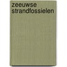 Zeeuwse strandfossielen door Onbekend