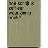 Hoe schrijf ik zelf een waanzinnig boek? by Terry Denton