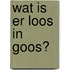 Wat is er loos in Goos?